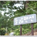 삼척들레펜션