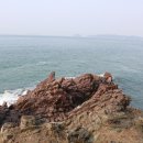 장고섬 Daum카페