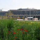 공항고등학교 이미지