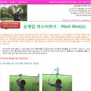 [골프레슨칼럼 18회차-Pitch Shot]KLPGA 방지현 프로 와 함께하는 "기본으로 돌아가는 골프" 이미지