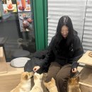 신방도서관 1층 화장실 | [천안] 천안애견카페, 가까이 그리고 가만히 후기