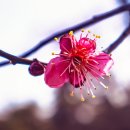 광양시청 이미지