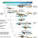 동네치킨 이미지