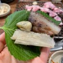대박통 티스토리