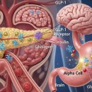 치매예방 인지케어 두뇌운동 이미지