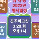 모모염색방