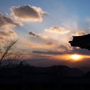 풍기홍삼찐빵 이미지