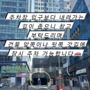 페어리몽드 이미지