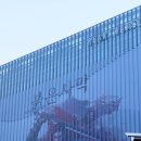 D.S 통상 이미지