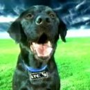 라이코스 이미지