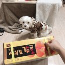 신진팜 이미지