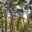 상상농장 이미지