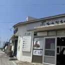 [제주 여행 2일차] 한림칼국수 / 협재 전기자전거 / 지구상회 / 신해바라기식당 2박 3일 총정리!