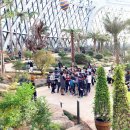 서울마곡유치원 이미지