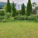 원예농장 이미지