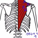 용암형제한의원 이미지