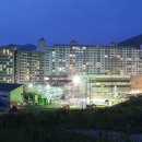 힐리 스토리 네이버블로그