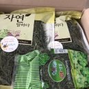 달나라 토끼농장 | 친칠라쥐 후츄쓰)달나라 토끼농장 국산 티모시 후기