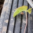 충대농약사 이미지