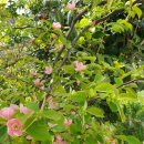 목섬농장 이미지