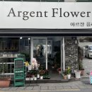 아르장플라워