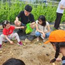 다복솔농장 이미지