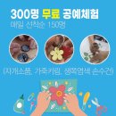 미르마켓 이미지