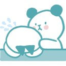 달보드레/루체레 이미지