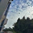 여수하모샤브샤브 여수맛집 민들레집 이미지