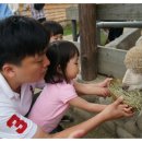 다영목장 이미지