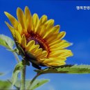 경기처인방문요양센터 이미지