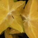 석가가든 이미지