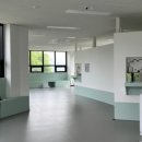 퍼피댕글 이미지