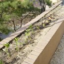 민재농장 이미지