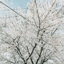 웅포주유소 이미지