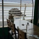 풍천죽집 이미지