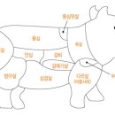 돼지고기 부위별 AtoZ 이미지