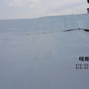 태화천막