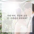 서울애견 이미지