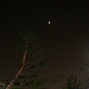 샌치 - 원주시 | 샌치