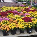 창의샘어린이집 이미지