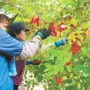 영근농장 이미지