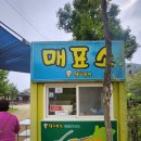 제호목장 | (양평 양떼목장) 아이들이랑 가볼 만한 곳/ 먹이주기 체험/ 동물체험