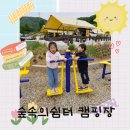 넘버원 태권도 | 짱남매 캠핑(숲속의 쉼터)