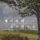 신전떡볶이춘천명동점 이미지