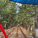 궁촌 | 동해 삼척 맛집 궁촌포구 섞어막회 횟집