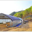 새참하우스 이미지