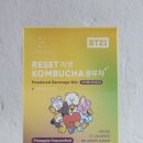 에브리케어 | 콤부차 추천 [에브리데이즈] 셀프케어 콤부차 파인애플 패션후르츠 후기
