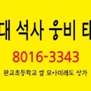 용인대변동태권도