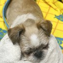 종합동물병원 이미지